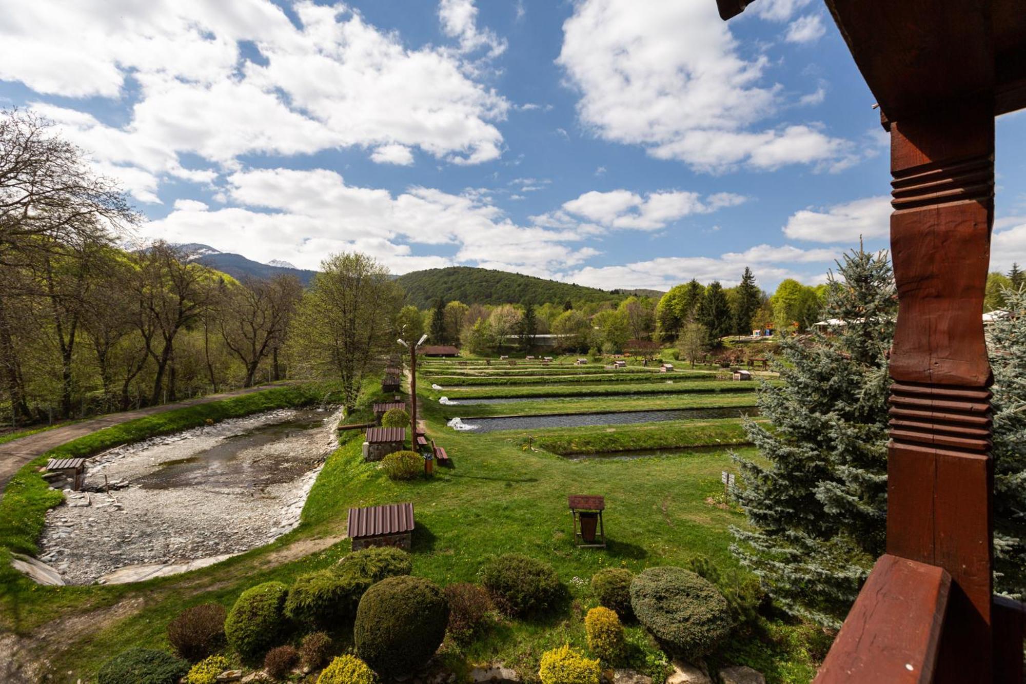 Complex Pastravaria Albota 4* Arpaşu de Sus