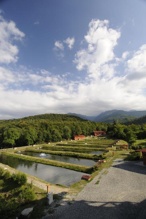Complex Pastravaria Albota 4* Arpaşu de Sus